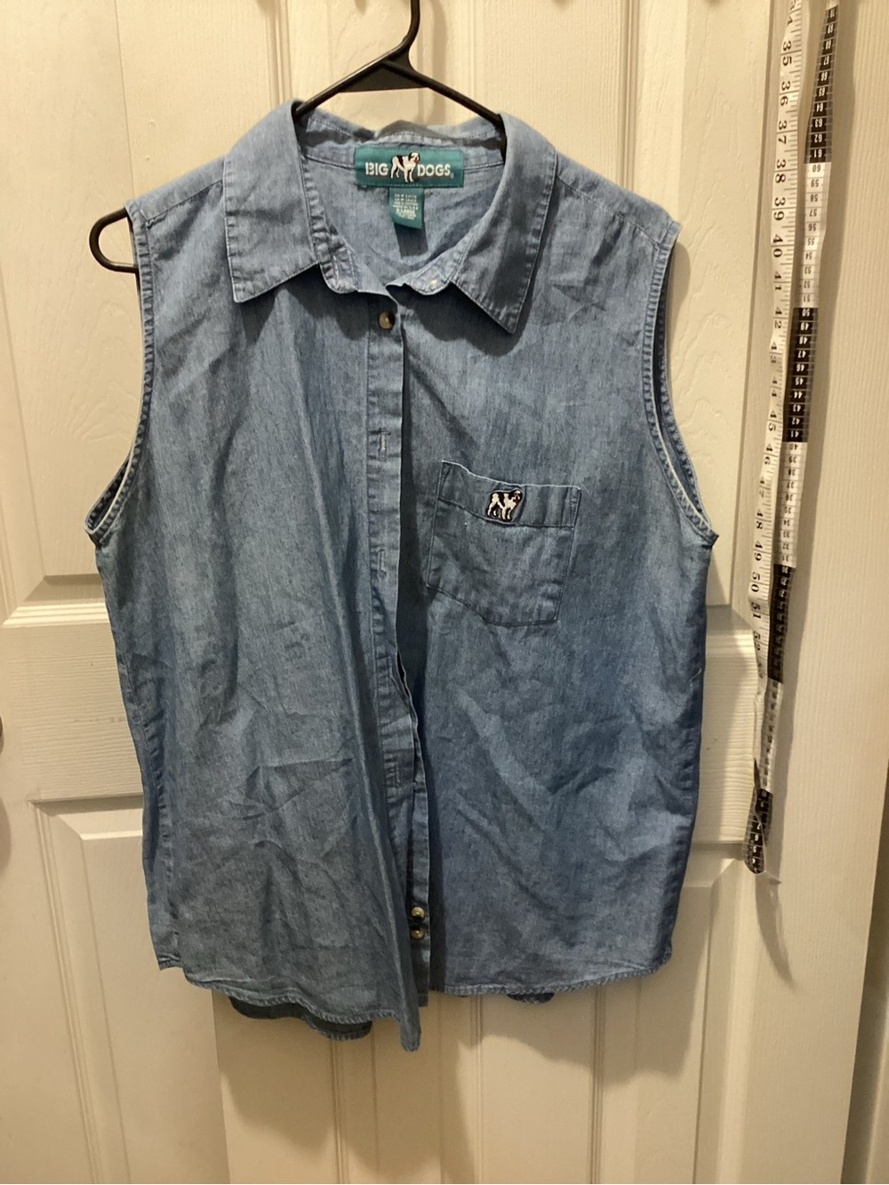 Big Dogs Light Blue Chambray Button-Up Shirt
